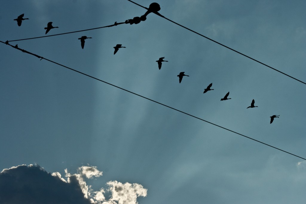 This Week in Data&nbsp;Reading