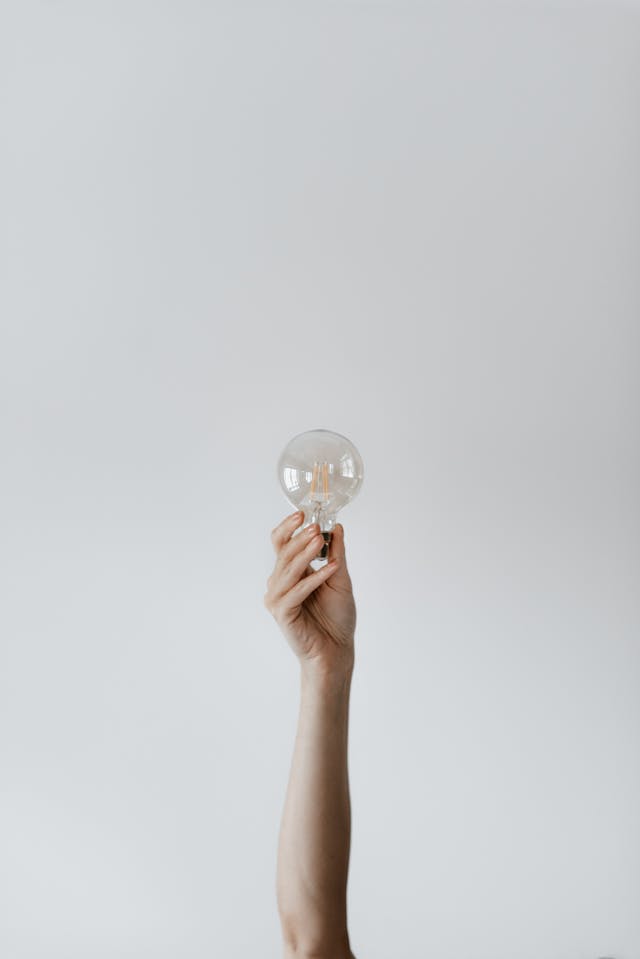 a hand holding a lightbulb